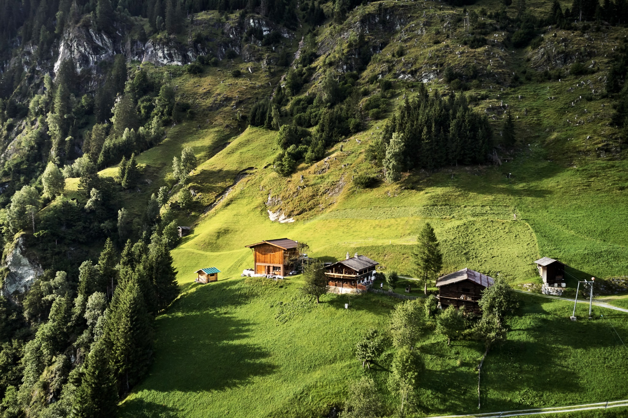 Almhütten auf einer Bergwiese